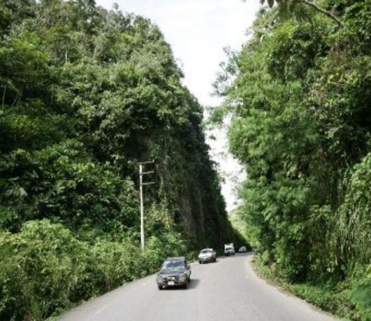 IIRSA Norte plantea invertir más de US$ 1 millón para reforzar el mantenimiento de la vía Amazonas Norte