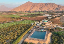 El agro peruano enfrenta el desafío de innovar para mantener su competitividad global