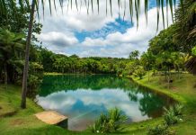 Turistas peruanos en Brasil aumentan 20,87% en primer semestre y rompen récord histórico
