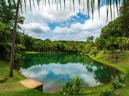 Turistas peruanos en Brasil aumentan 20,87% en primer semestre y rompen récord histórico