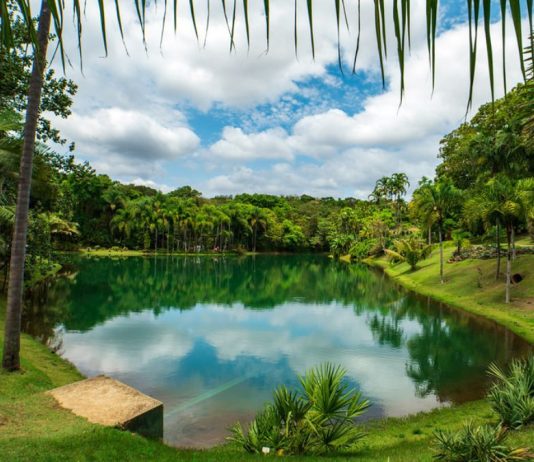 Turistas peruanos en Brasil aumentan 20,87% en primer semestre y rompen récord histórico