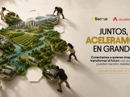Empresas multinacionales buscan startups peruanas para abrirles mercado global y financiarlas con hasta US$100,000