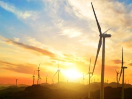 Crecimiento de energías renovables impulsa la demanda de cables de media tensión eficientes