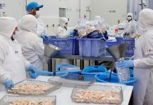 Sanipes lanza manual que reduce en 45 % tiempos de inspección sanitaria en plantas procesadoras