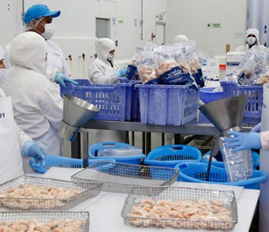 Sanipes lanza manual que reduce en 45 % tiempos de inspección sanitaria en plantas procesadoras