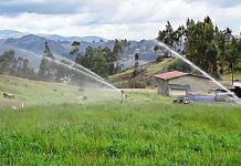 Estudiantes desarrollan un sistema inteligente de filtración y riego para reducir riesgos por contaminación del agua en la agricultura