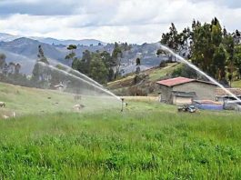 Estudiantes desarrollan un sistema inteligente de filtración y riego para reducir riesgos por contaminación del agua en la agricultura