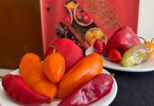 Perú se consolida como el segundo exportador de capsicum de América Latina con envíos por US$ 365 millones