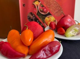 Perú se consolida como el segundo exportador de capsicum de América Latina con envíos por US$ 365 millones