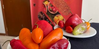Perú se consolida como el segundo exportador de capsicum de América Latina con envíos por US$ 365 millones
