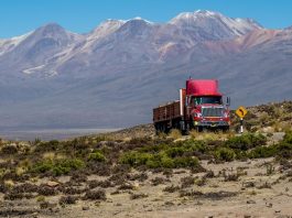 Wialon ha sido reconocida como la plataforma líder en digitalización de flotas en la región con más de 900,000 vehículos conectados