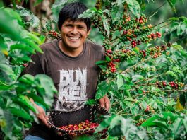 MIDAGRI: Agroexportaciones peruanas están cerca de los US$ 5,000 millones a mayo de 2026