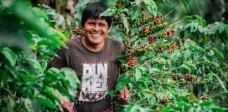 MIDAGRI: Agroexportaciones peruanas están cerca de los US$ 5,000 millones a mayo de 2026