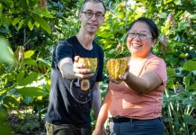 A dos semanas del Salón del Cacao y Chocolate 2026, el cacao nativo peruano celebra un nuevo triunfo mundial desde Canadá