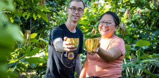 A dos semanas del Salón del Cacao y Chocolate 2026, el cacao nativo peruano celebra un nuevo triunfo mundial desde Canadá