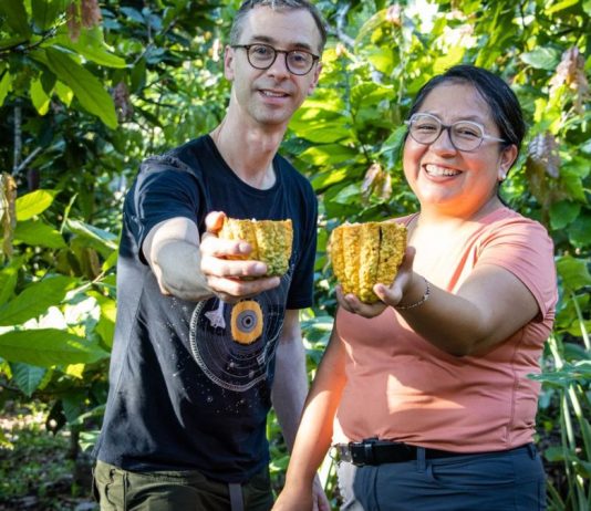 A dos semanas del Salón del Cacao y Chocolate 2026, el cacao nativo peruano celebra un nuevo triunfo mundial desde Canadá