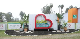 Conoce a los profesionales peruanos que darán vida a la edición 13 de EXPODECO