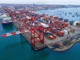 Muelle Sur del Callao moviliza 71,4% de las exportaciones de cacao