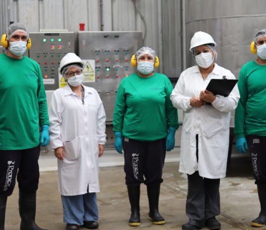 Pronex prevé un mayor incremento en el sector de colorantes