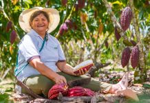 Canadá llega al XVII Salón del Cacao y Chocolate con una inversión de 15 millones de dólares para impulsar el cacao sostenible del Perú