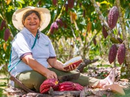 Canadá llega al XVII Salón del Cacao y Chocolate con una inversión de 15 millones de dólares para impulsar el cacao sostenible del Perú