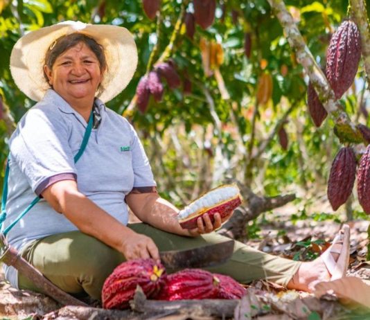 Canadá llega al XVII Salón del Cacao y Chocolate con una inversión de 15 millones de dólares para impulsar el cacao sostenible del Perú