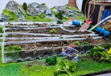 Fenómeno de El Niño: Estudiantes desarrollan sistema de riego inteligente para reducir el impacto en la agricultura