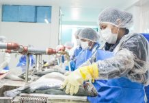 CITEacuícola Puno mejora la acuicultura regional con asistencia técnica y servicios especializados para productores