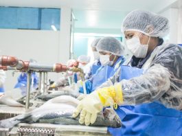 CITEacuícola Puno mejora la acuicultura regional con asistencia técnica y servicios especializados para productores