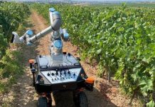 Robótica gana terreno en educación, seguridad y agro en Perú