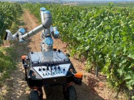 Robótica gana terreno en educación, seguridad y agro en Perú