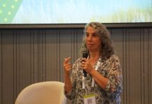 Carolina Trivelli: No puede haber desarrollo territorial sin prosperidad económica y cohesión social