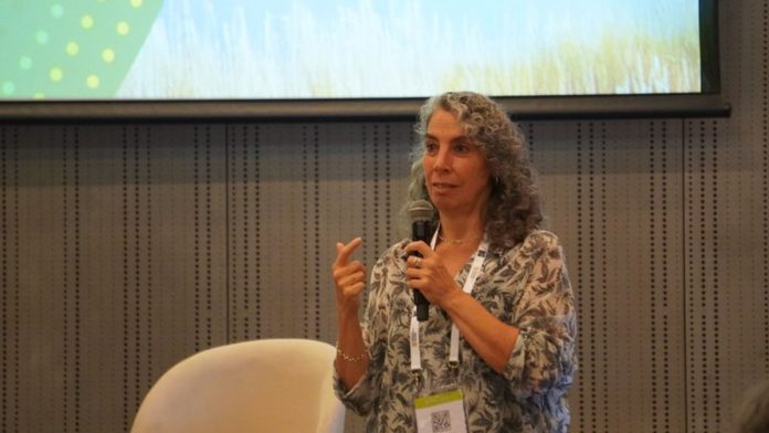 WEB - MEDIOS (18)