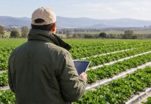 El cambio climático obliga al agro peruano a replantear cómo y qué cultivar