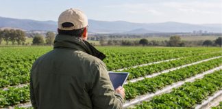 El cambio climático obliga al agro peruano a replantear cómo y qué cultivar