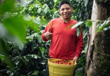 Semana del Café del Vraem 2026 reunirá a 25 emprendimientos en Barranco