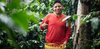 Semana del Café del Vraem 2026 reunirá a 25 emprendimientos en Barranco