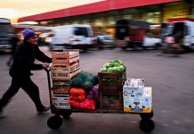 Argentina flexibiliza la importación de alimentos e insumos