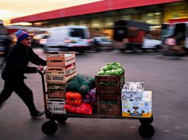 Argentina flexibiliza la importación de alimentos e insumos