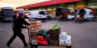 Argentina flexibiliza la importación de alimentos e insumos