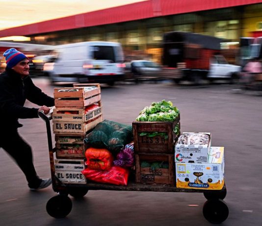 Argentina flexibiliza la importación de alimentos e insumos