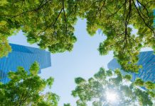 Sostenibilidad: Kimberly-Clark alcanza una reducción del 50% en el uso de fibra proveniente de bosques naturales