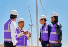 La transición energética del Perú necesita dos motores: más centrales renovables y mayor productividad