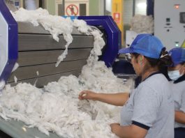 Perú busca ampliar sus exportaciones a Argentina con productos de mayor valor