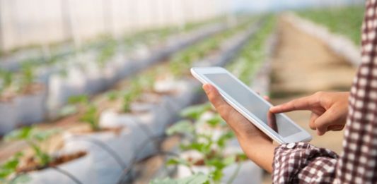 TANIT impulsa agricultura basada en datos para conectar a productores con mercados internacionales