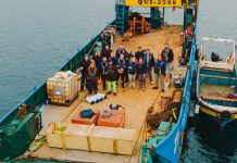 Ruido submarino: El contaminante invisible bajo el mar que gana relevancia para los proyectos en Perú