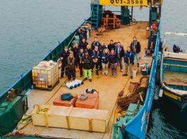 Ruido submarino: El contaminante invisible bajo el mar que gana relevancia para los proyectos en Perú