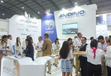 Andino Investment Holding reporta una utilidad neta de más de S/126 millones en el primer semestre