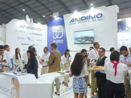 Andino Investment Holding reporta una utilidad neta de más de S/126 millones en el primer semestre