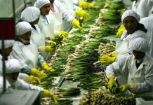 Gobierno evaluará beneficios tributarios de la agroexportación